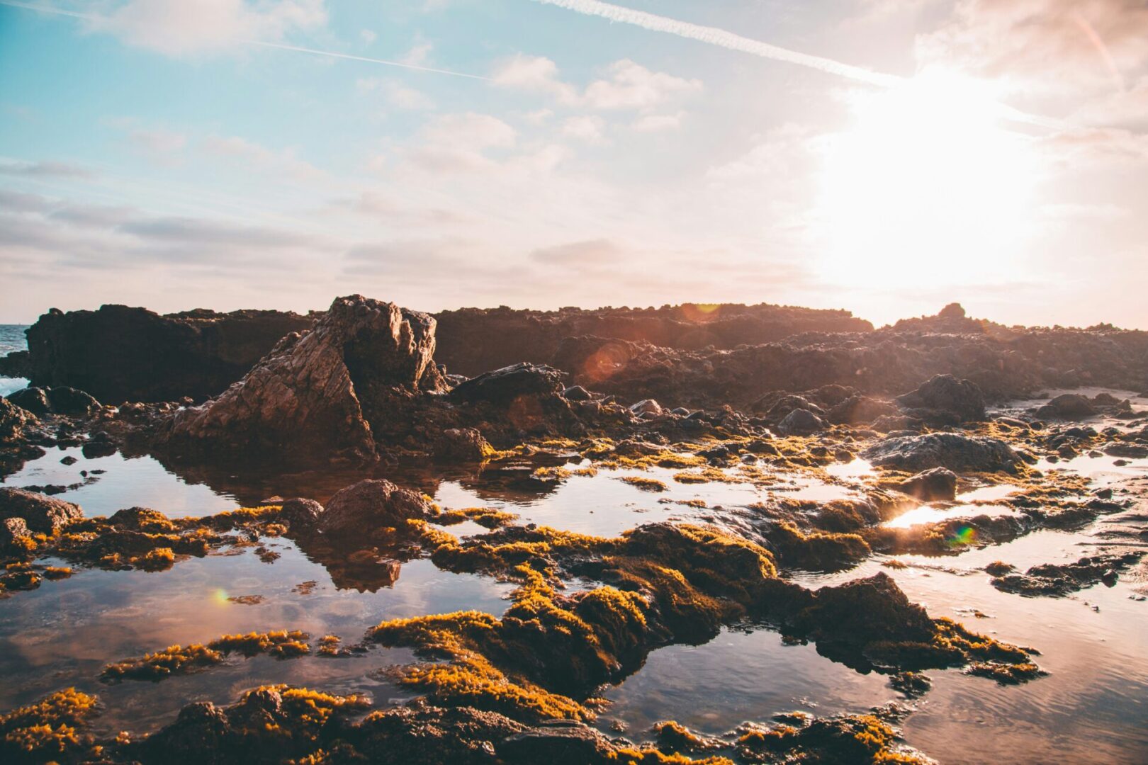 A body of water with rocks and plants on it.